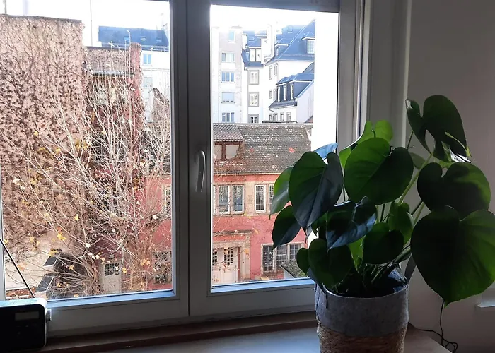 Hyper Centre- Hyper Calme 스트라스부르